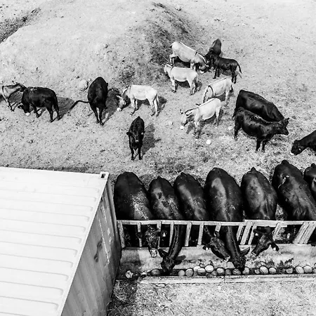 Alloggio per agriturismo Podere Giulio *