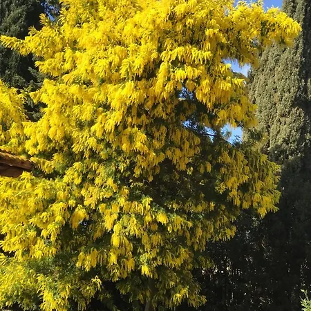 Alloggio per agriturismo Podere Giulio Tarquinia