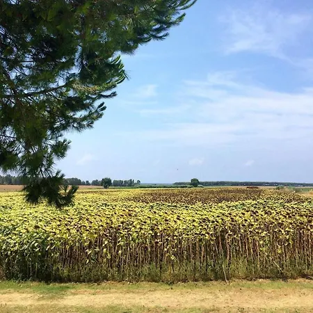 Alloggio per agriturismo Podere Giulio